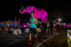 BIB: 
                            <button type="button" onclick="openModal(26552174)" class="btn btn-primary btn-sm float-right btn-popup" data-toggle="modal" data-target=".modal-high-quality">
                        <i class="fas fa-shopping-cart"></i> Add to Cart
                    </button>
                                            <button type="button" onclick="isThisMe(26552174, true)" class="btn btn-success btn-sm float-right btn-popup btn-isme hidden" data-toggle="tooltip" data-placement="bottom" title="นี่คือรูปของคุณใช่ไหม คลิกที่นี่เพื่อเอาเข้าอัลบั้ม">
                        <i class="fas fa-plus"></i> Add to album
                    </button>
                    <button type="button" onclick="isThisMe(26552174, false)" class="btn btn-warning btn-sm float-right btn-popup btn-isnotme hidden">
                        <i class="fas fa-ban"></i> Remove from album
                    </button>